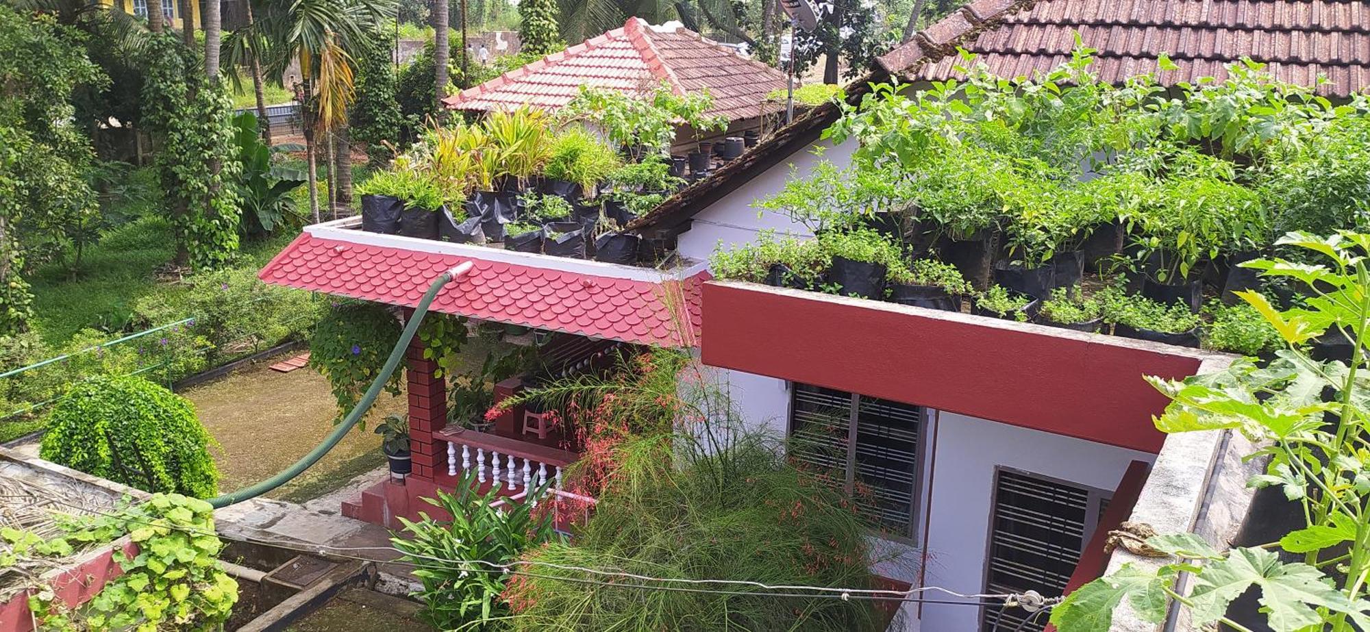 Runnin Airport - Homestay Gurpur Екстер'єр фото