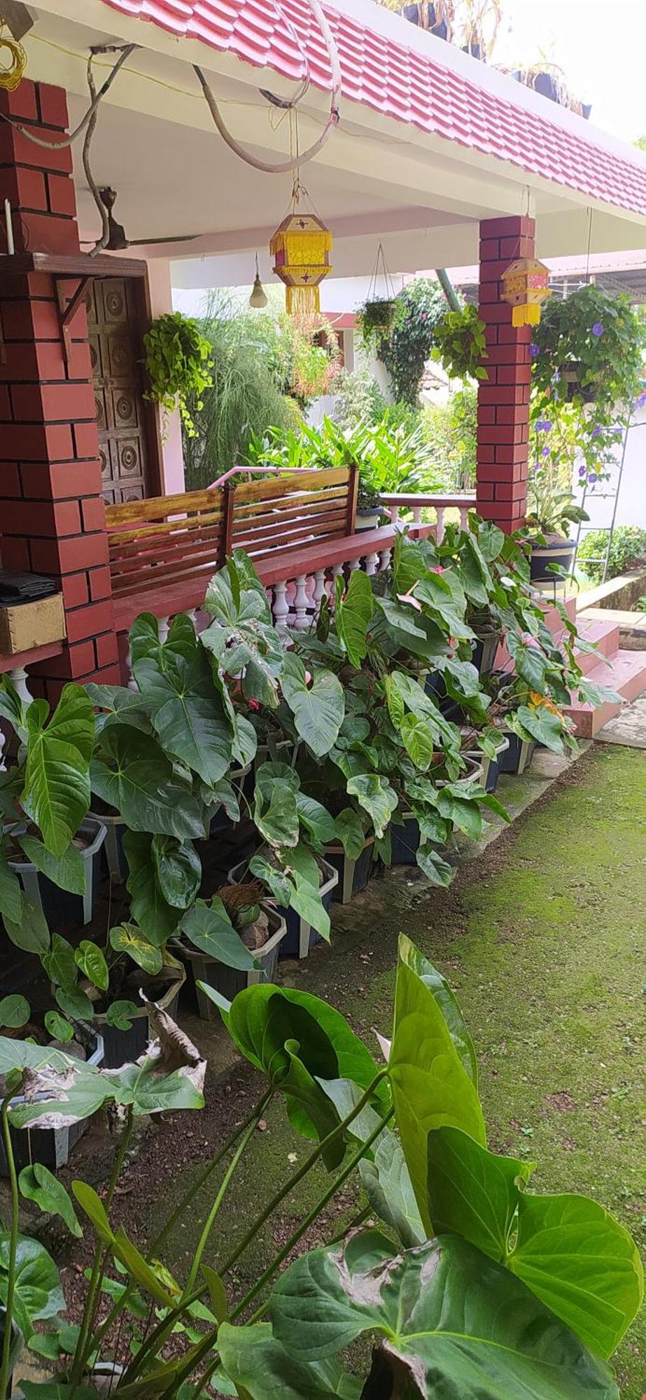 Runnin Airport - Homestay Gurpur Екстер'єр фото