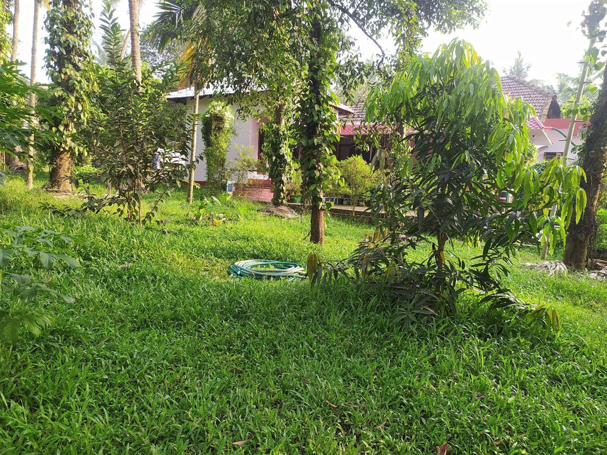 Runnin Airport - Homestay Gurpur Екстер'єр фото